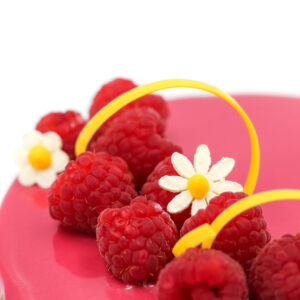 Entremet vainilla y frutos rojos