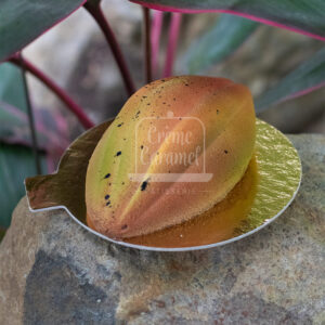 ENTREMET INDIVIDUAL DE CHOCOLATE Y AVELLANAS